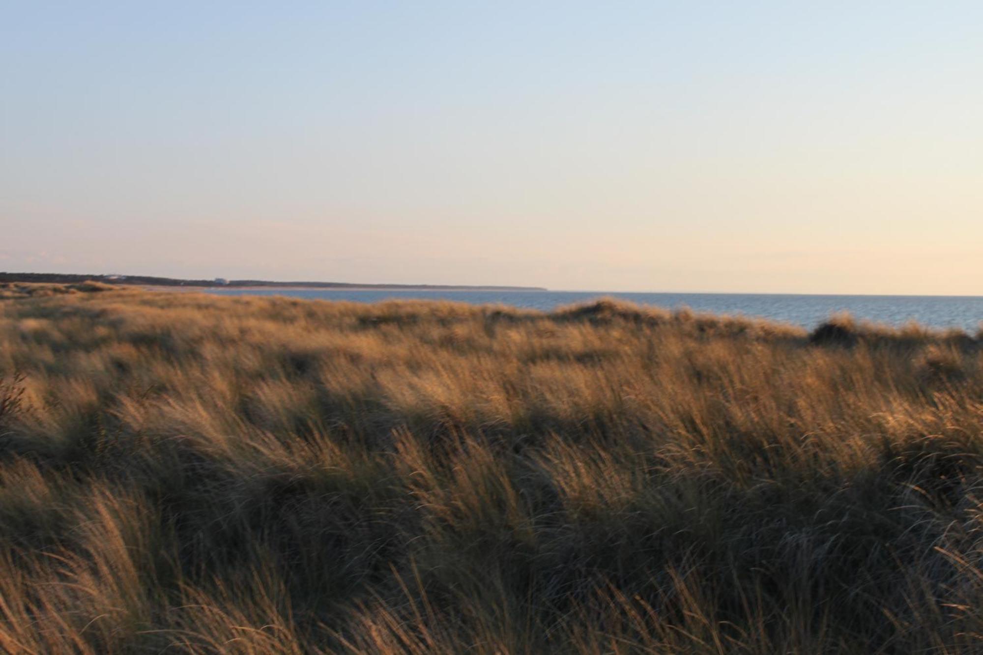 -"Strandhaus Friedrich"- Dierhagen Exterior photo